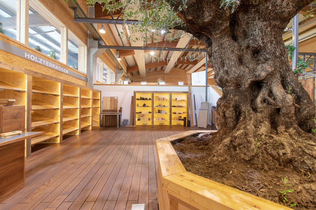 33 gute Gründe für Trumer Holz