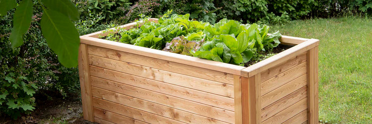 Garten und Freizeit