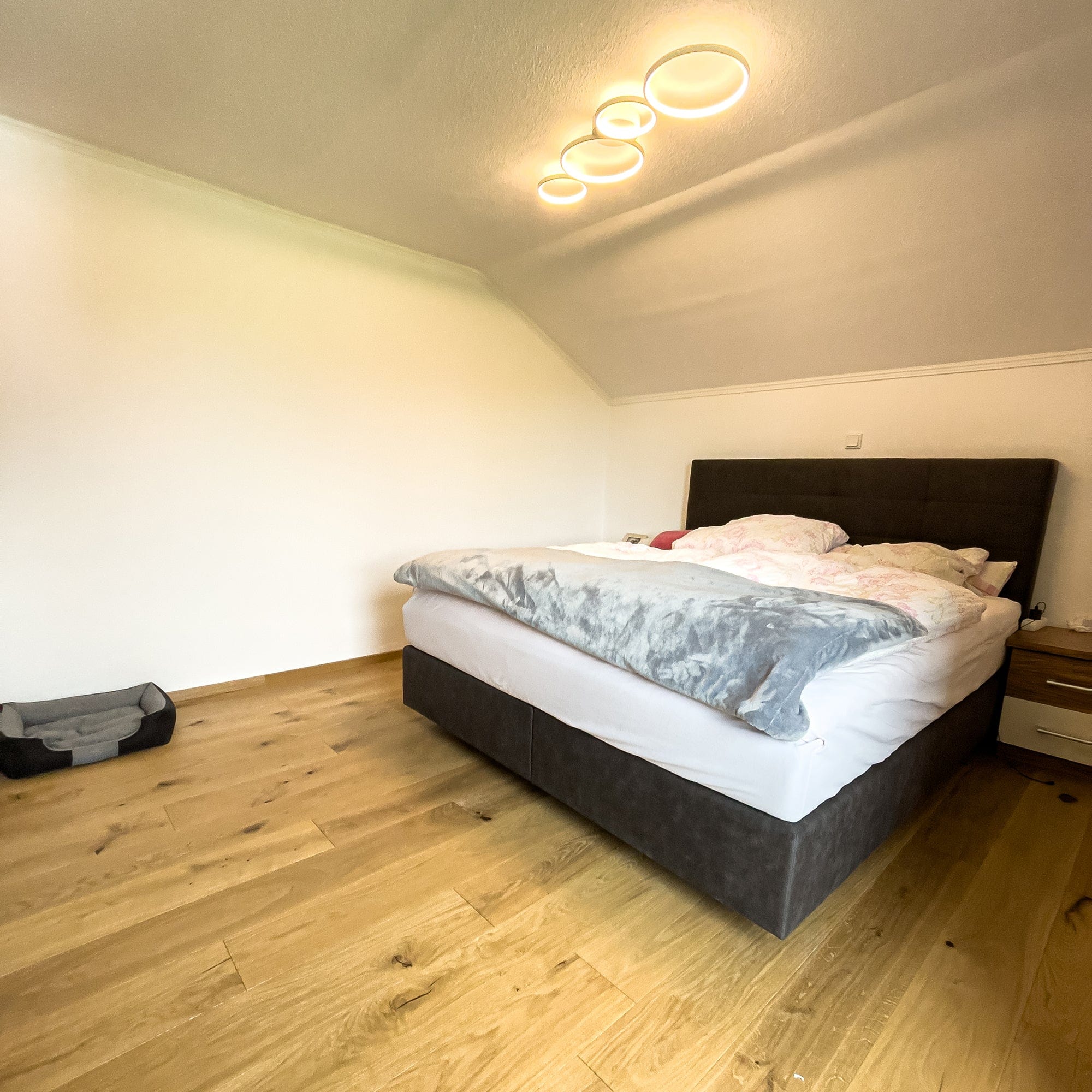Reste Rampe - Fußboden Eiche Landlord, Medium, geölt natur - astig