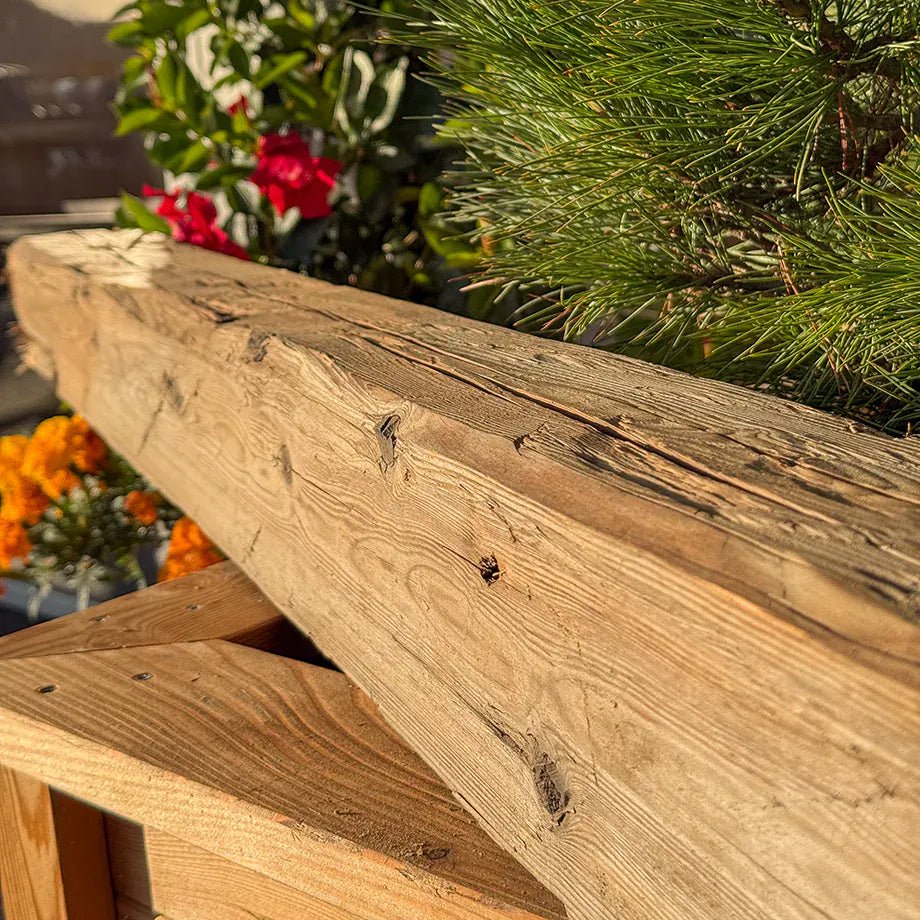 Travi in vero legno antico