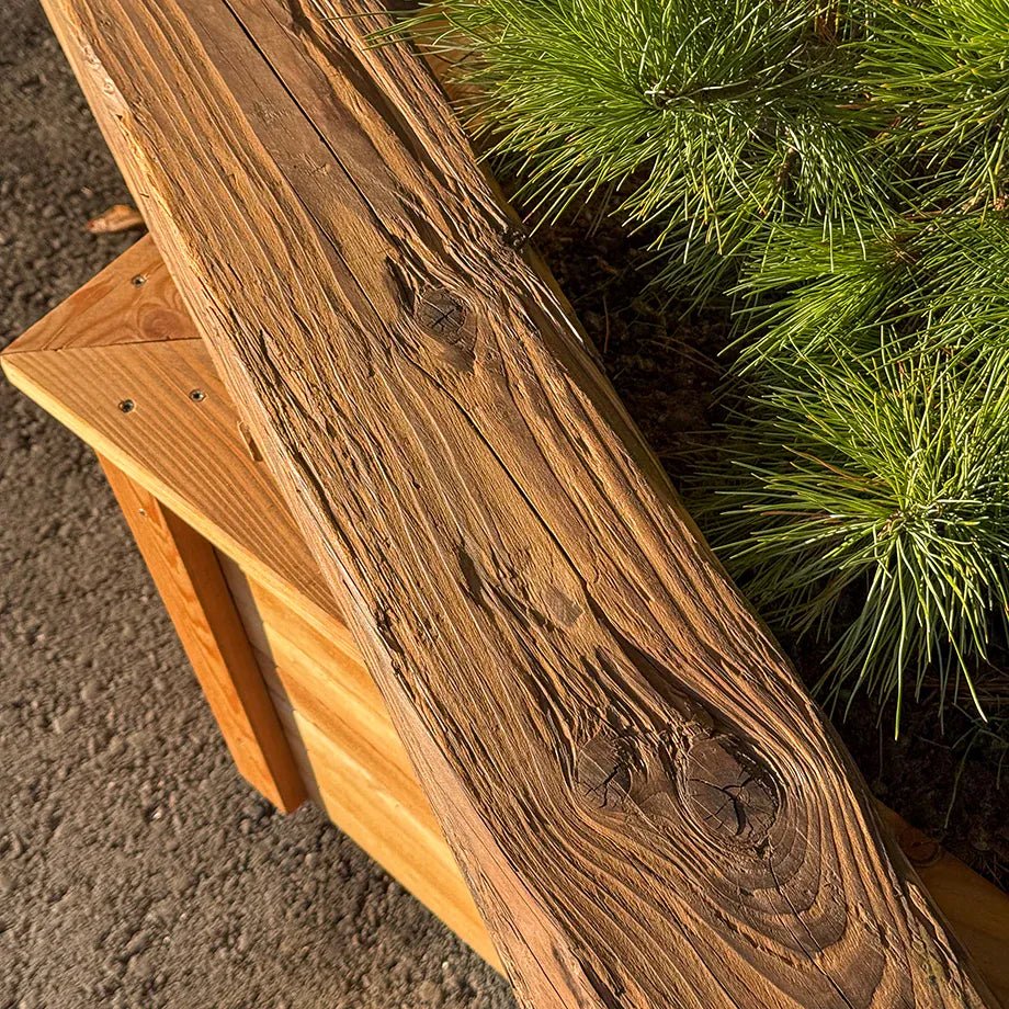 Travi in vero legno antico