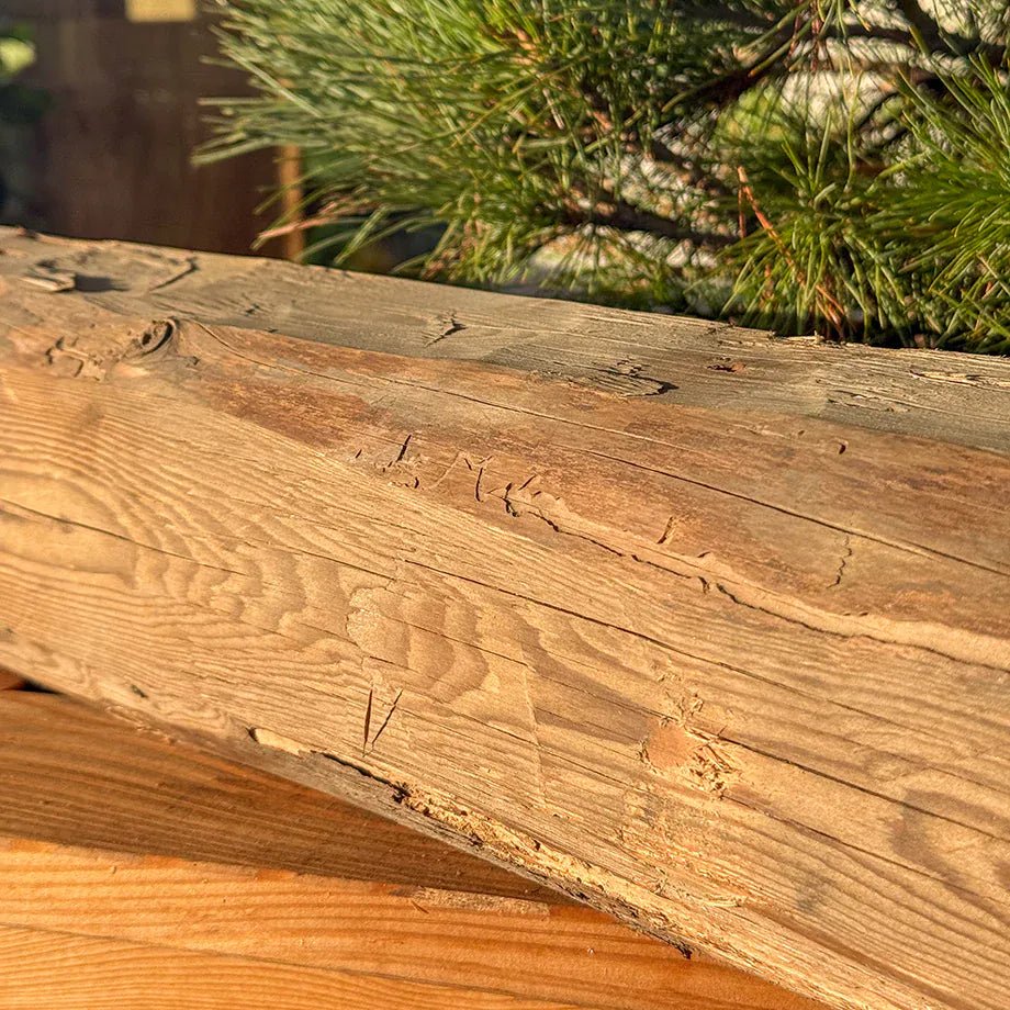 Travi in vero legno antico