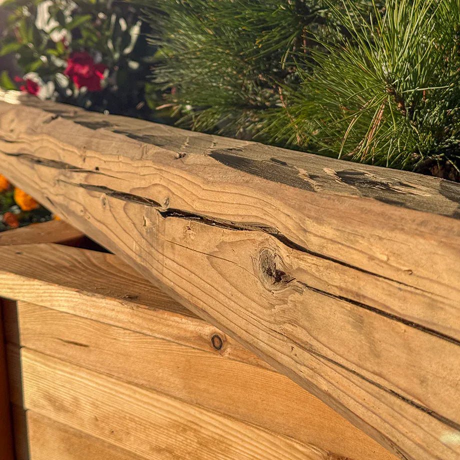 Travi in vero legno antico