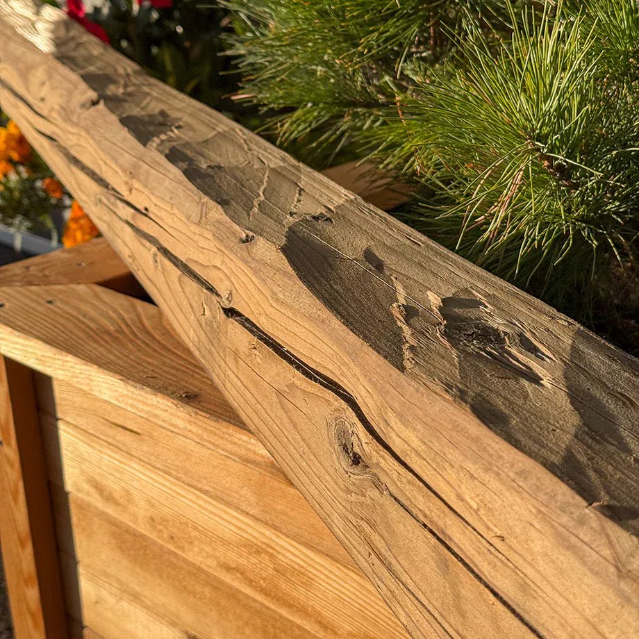 Travi in vero legno antico