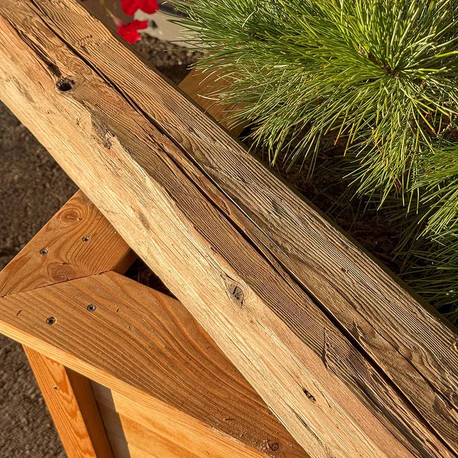 Travi in vero legno antico