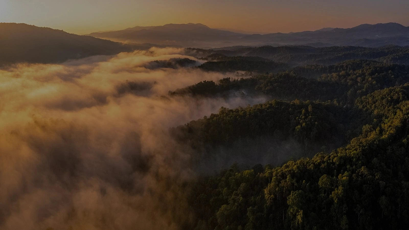 Trumer Holz GmbH