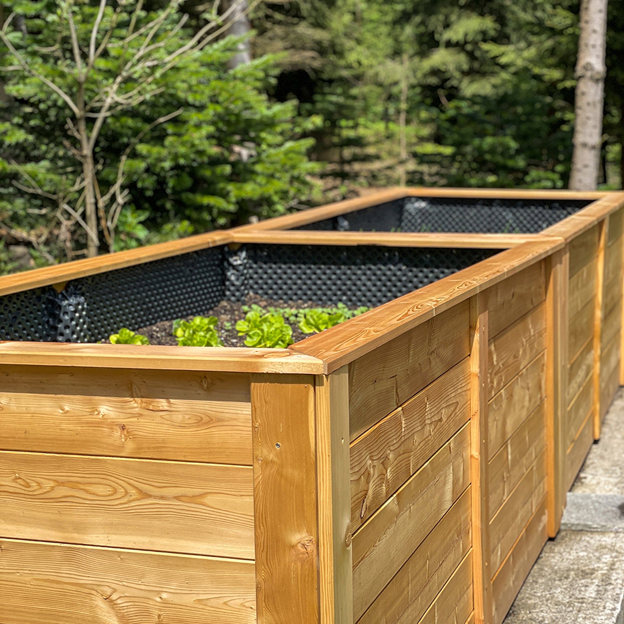 Raised Bed Larch - Kit 'Praktiker