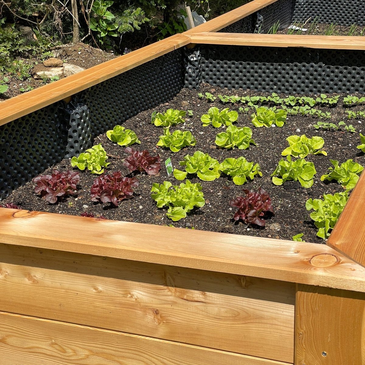 Hochbeet Lärche Praktiker - Bausatz