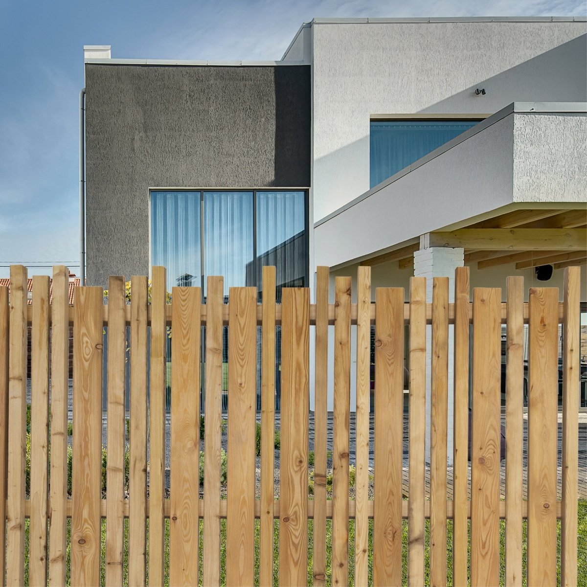 Schermo frangivista in larice 'Zwölferhorn'