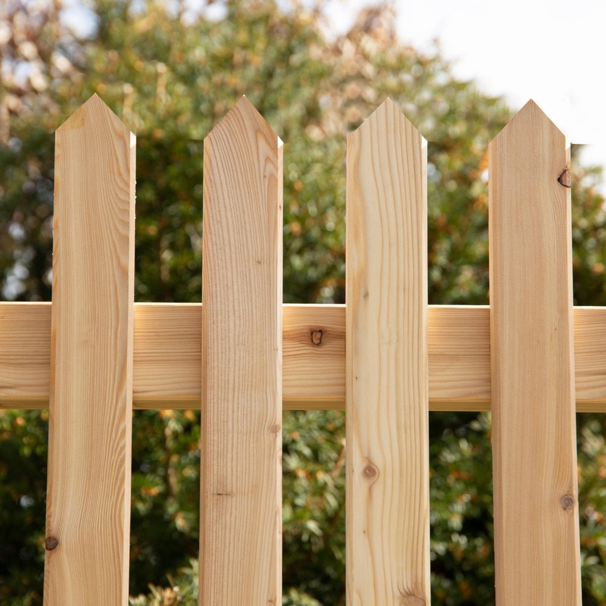 Schermo antivista in larice 'Watzmann'