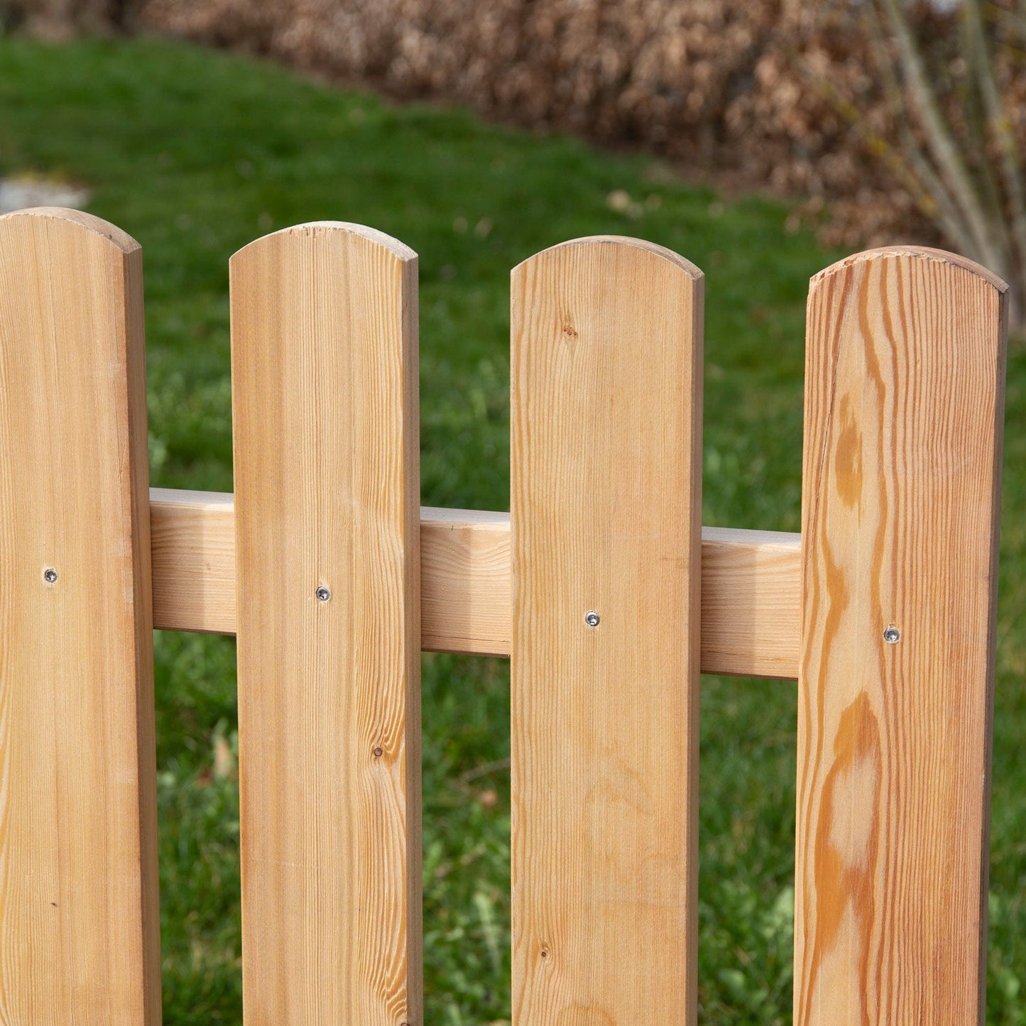 Garden Fence Larch 'Schafberg'