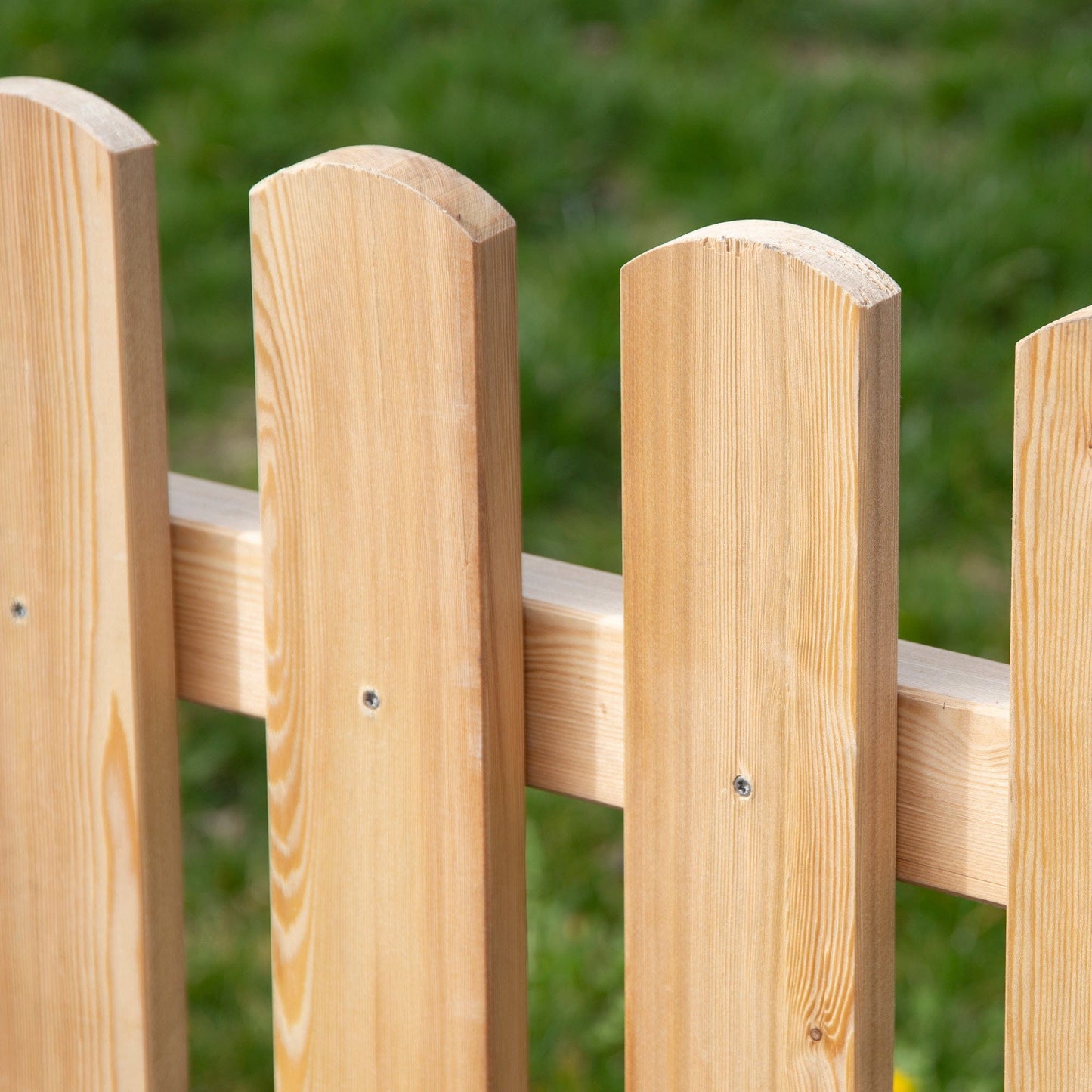 Garden Fence Larch 'Schafberg'