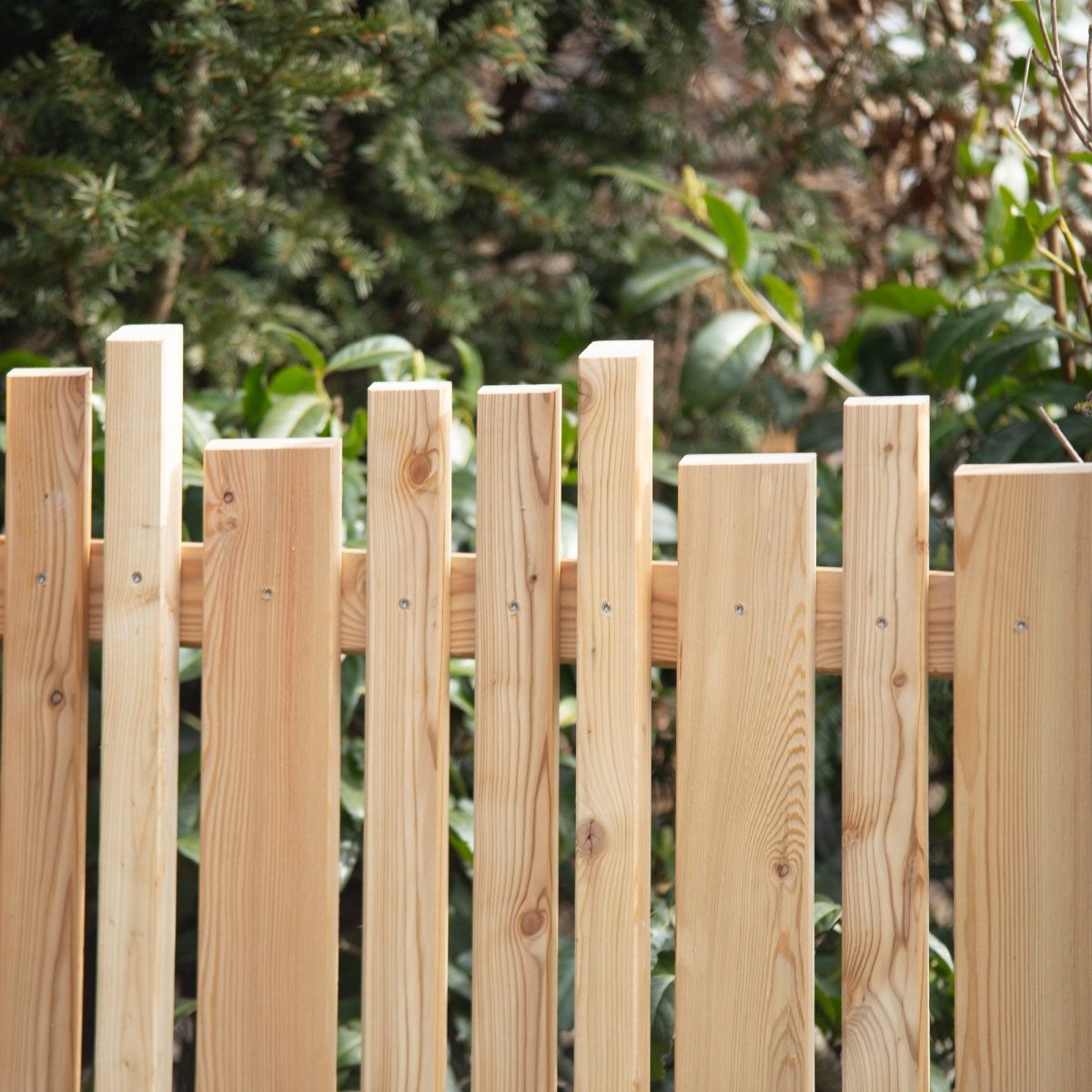 Gartenzaun Lärche Zwölferhorn