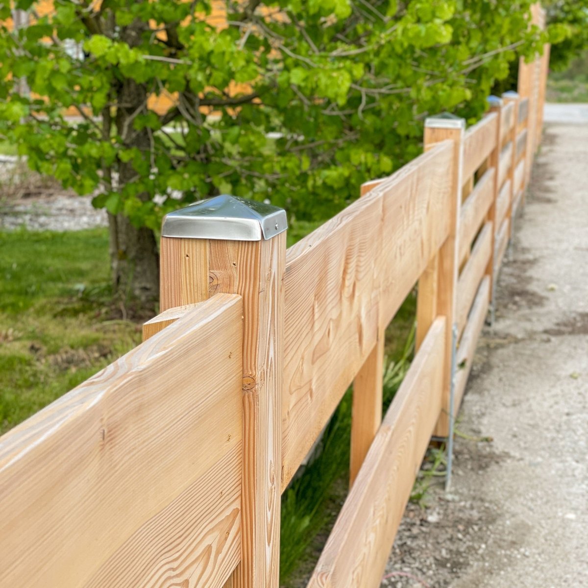 Einzelsteher Lärche passend für Gartenzaun