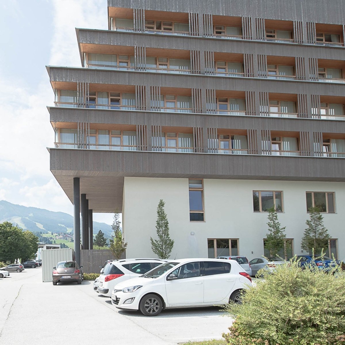 Facade Larch Rhombus