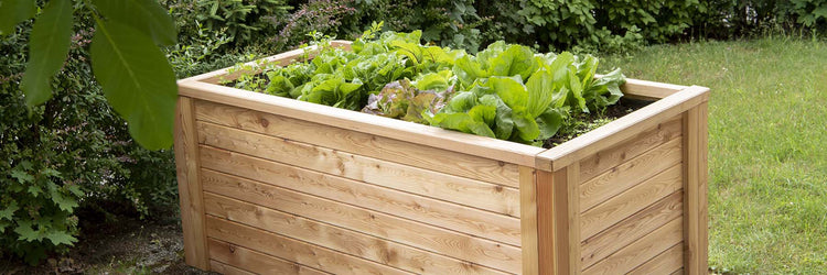 Garten und Freizeit