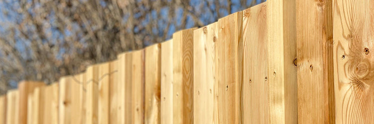 Zaun und Sichtschutz