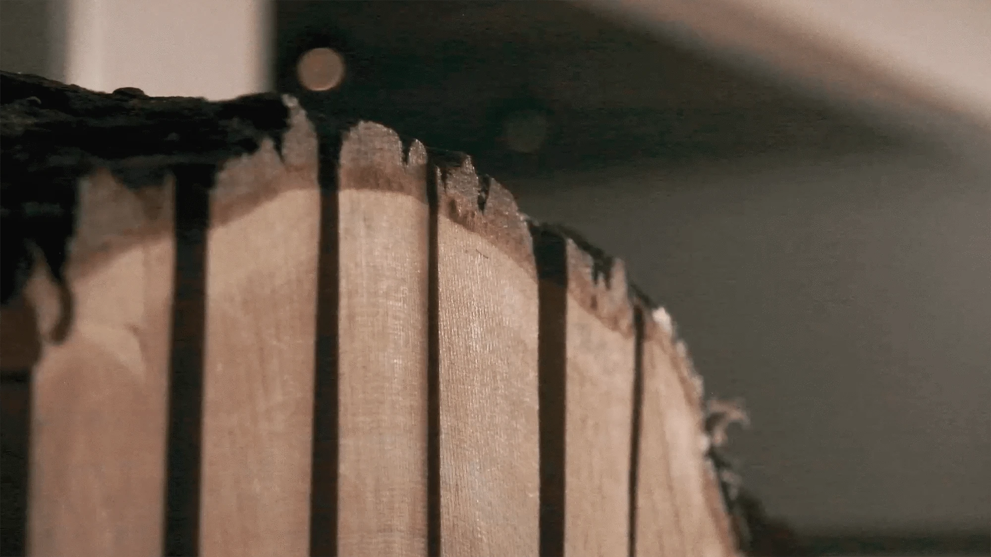 Video laden: So funktioniert die Beratung bei Trumer Holz