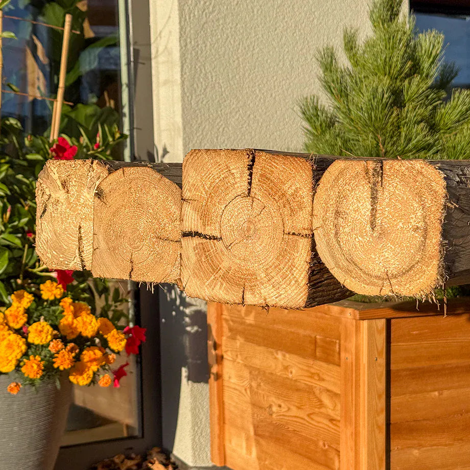 Balken aus echtem Altholz