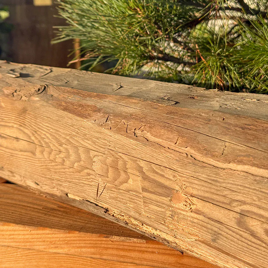 Balken aus echtem Altholz