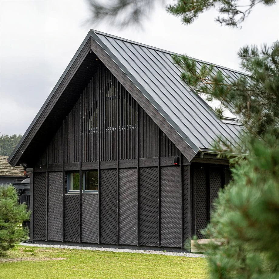 Fassade Fichte Kurosawa