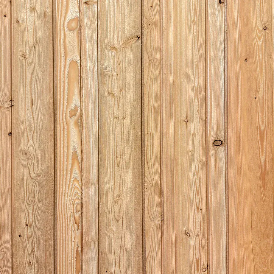 Fassade Lärche Skógur