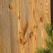 Wall & Ceiling Element WALDFLÜSTERN, Reclaimed Wood 