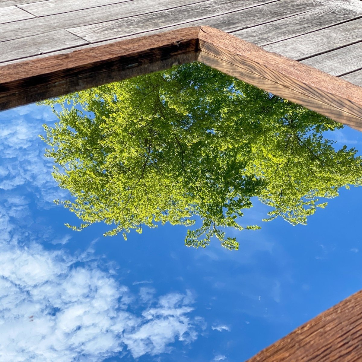 Specchio in legno antico