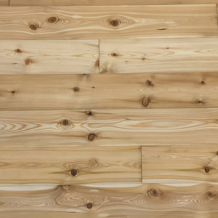 Solid Larch Wood Flooring WOODY