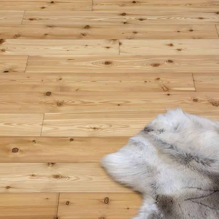 Solid Larch Wood Flooring WOODY