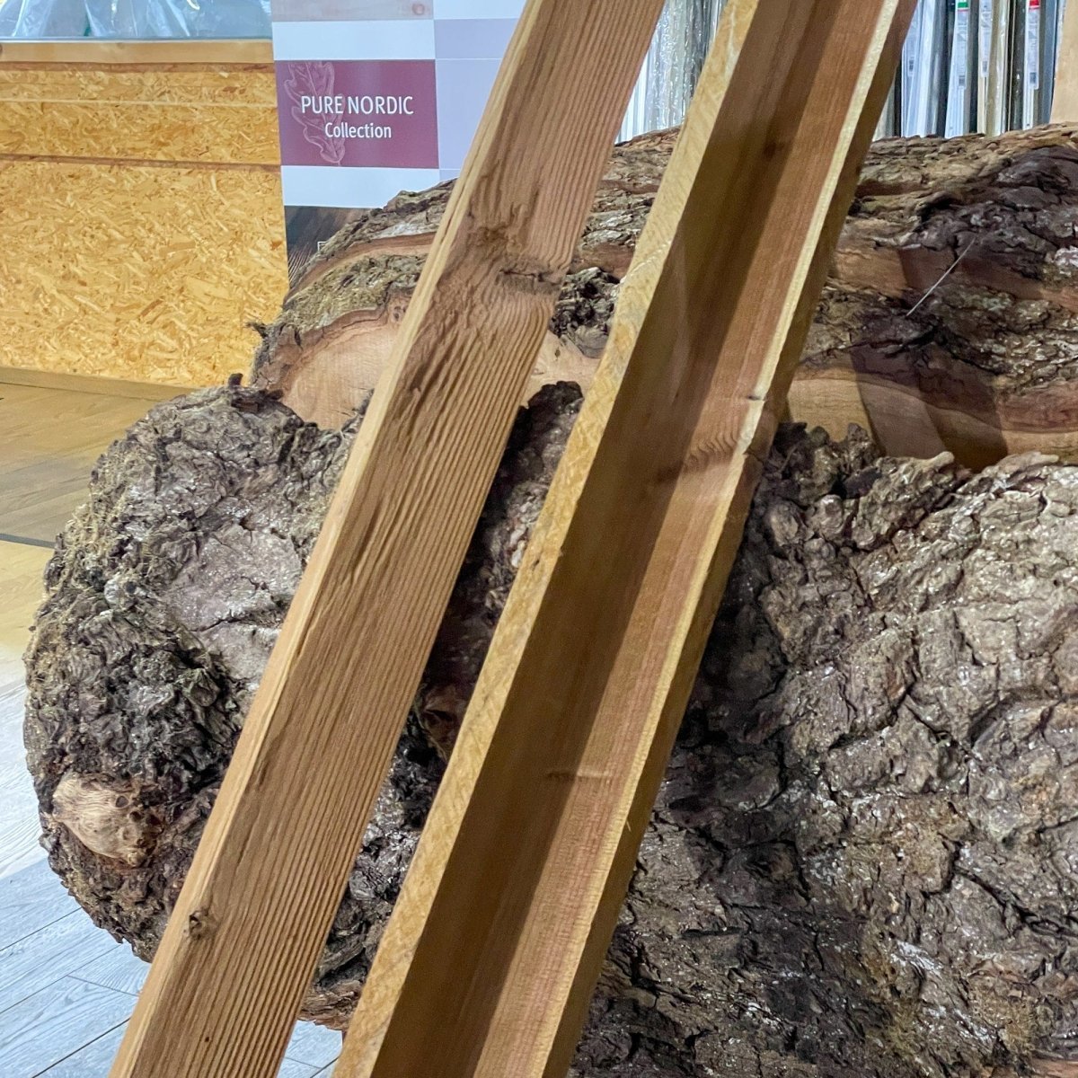 Deckleiste / Abschlussleiste Thermofichte gehackt