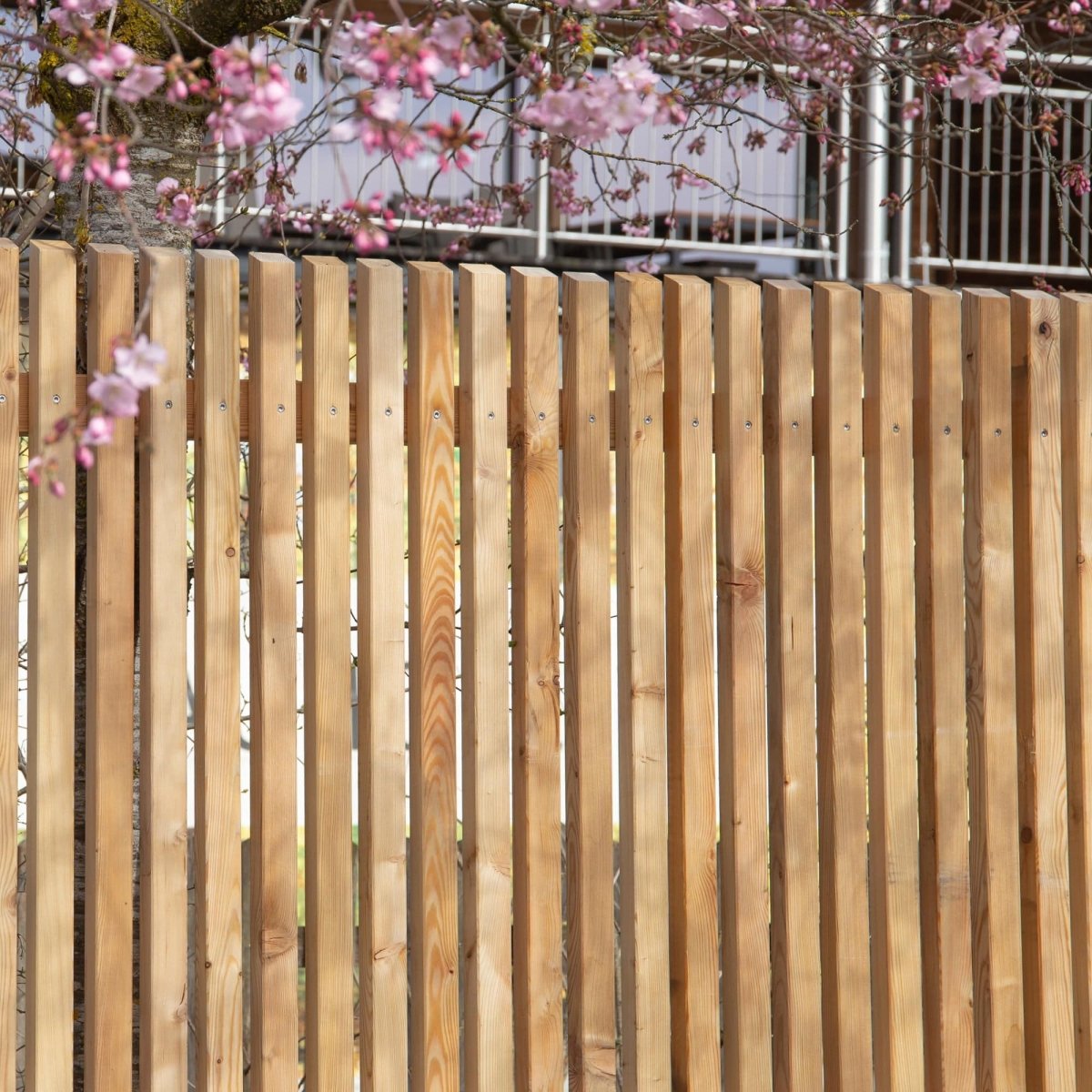 Sichtschutz Lärche Untersberg