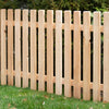 Garden Fence Larch 'Gaisberg'