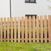 Garden Fence Larch 'Schafberg'