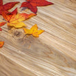 Flooring Oak Solid, Woody Large, Ready-to-Use Oiled